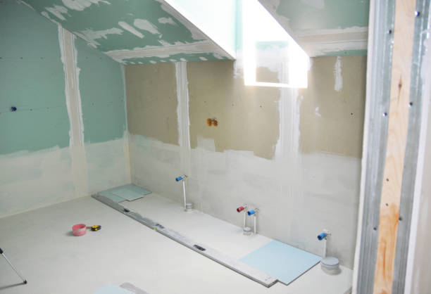 Best Forensic Mold Investigation  in Friars Point, MS