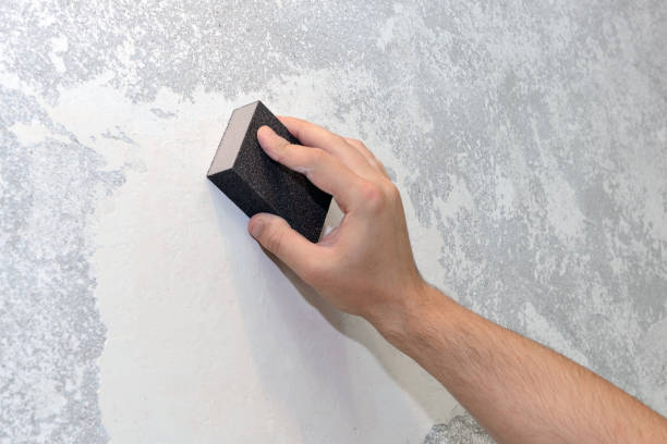 Best Emergency Mold Remediation  in Friars Point, MS