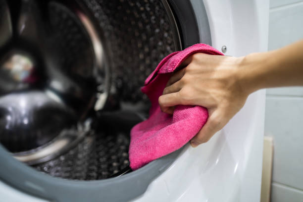 Best Dehumidification Services  in Friars Point, MS