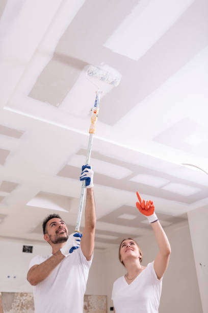 Best Attic Mold Removal  in Friars Point, MS
