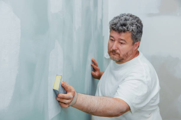 Best Post-Construction Mold Inspection  in Friars Point, MS