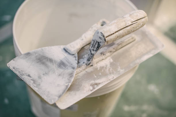 Professional Mold Removal in Friars Point, MS